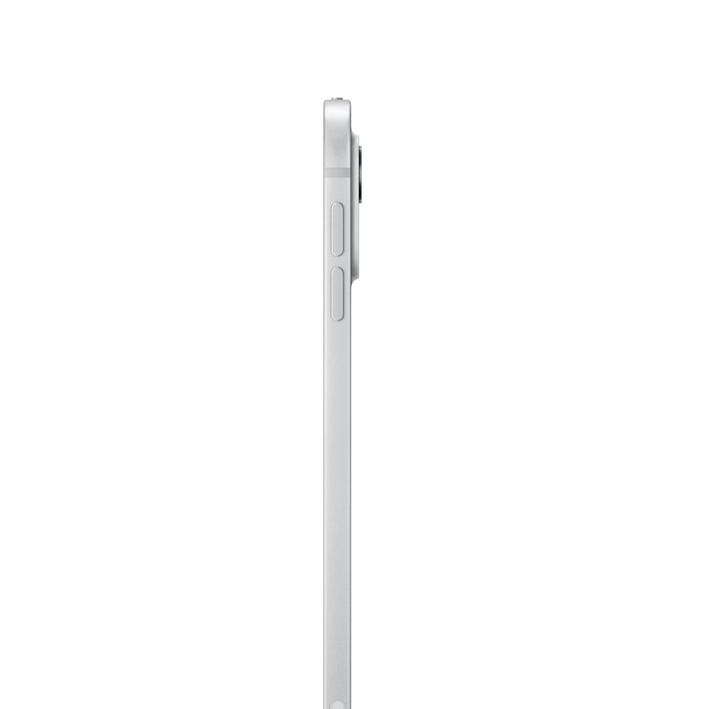iPad Pro de 11 pulgadas Wi-Fi 2 TB Vidrio estándar - Plata (M4)