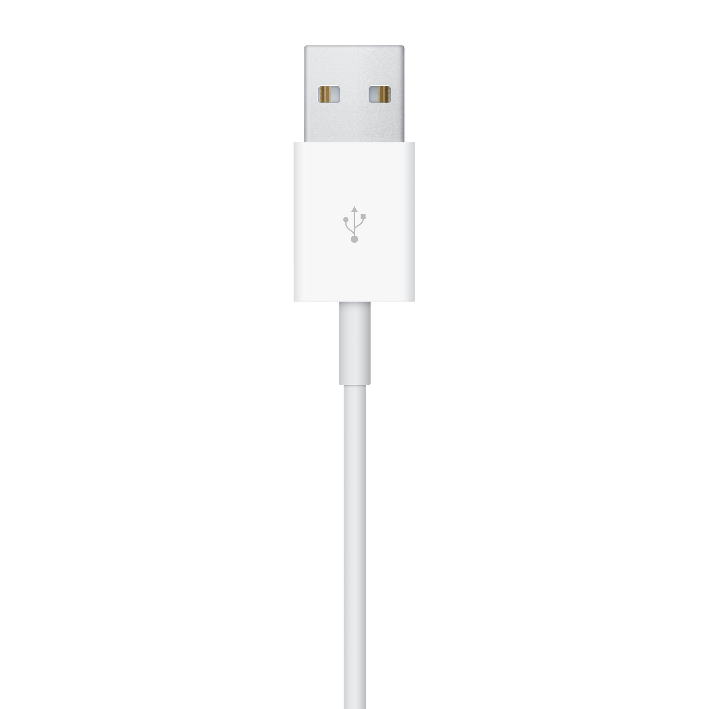 WATCH CHARGE CABLE USB-A (2 M)-AME
