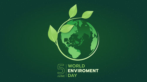 Celebra el Día del medio ambiente con hábitos inteligentes