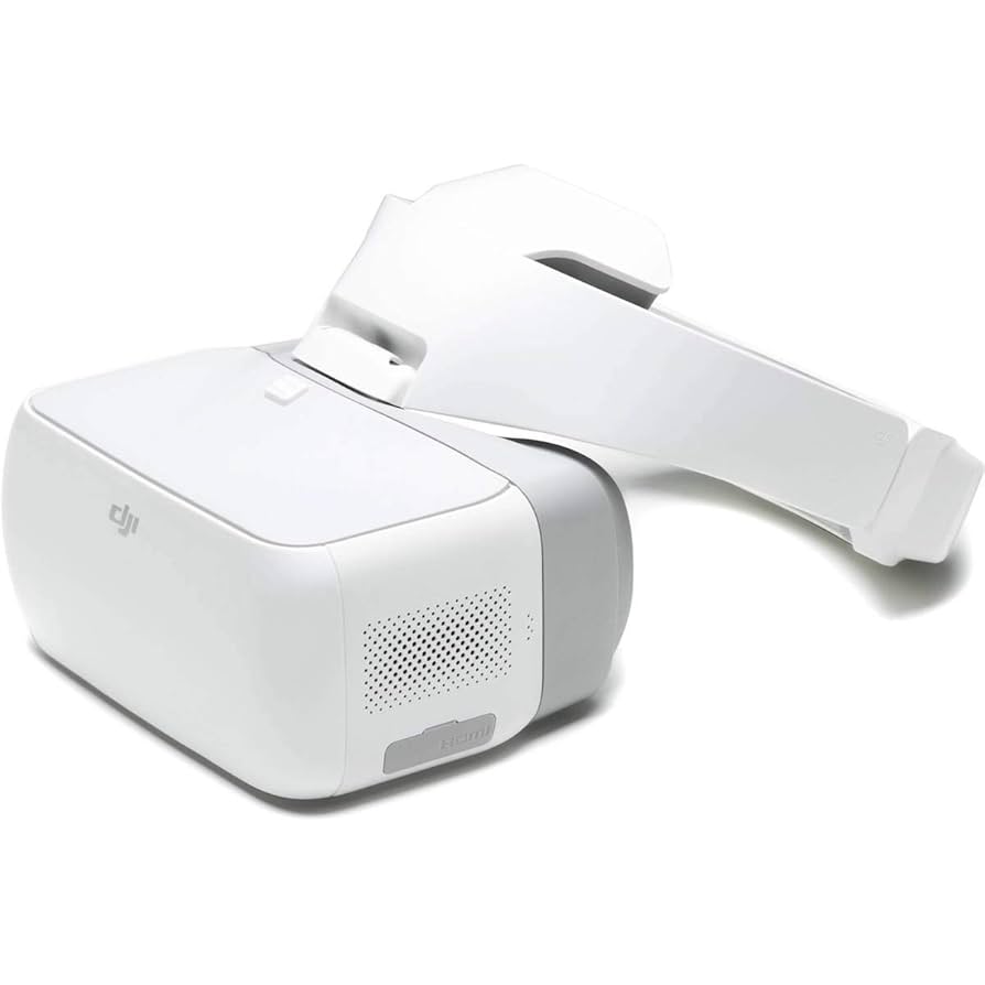 DJI Goggles - White
