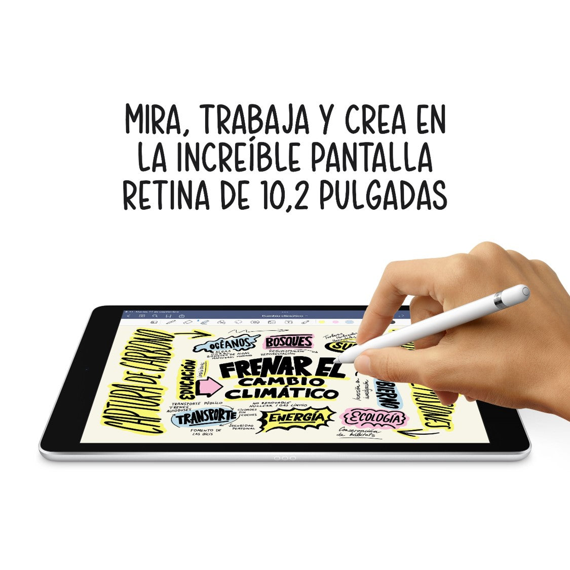 iPad de 10,2 pulgadas 64 GB Gris espacial Wi-Fi