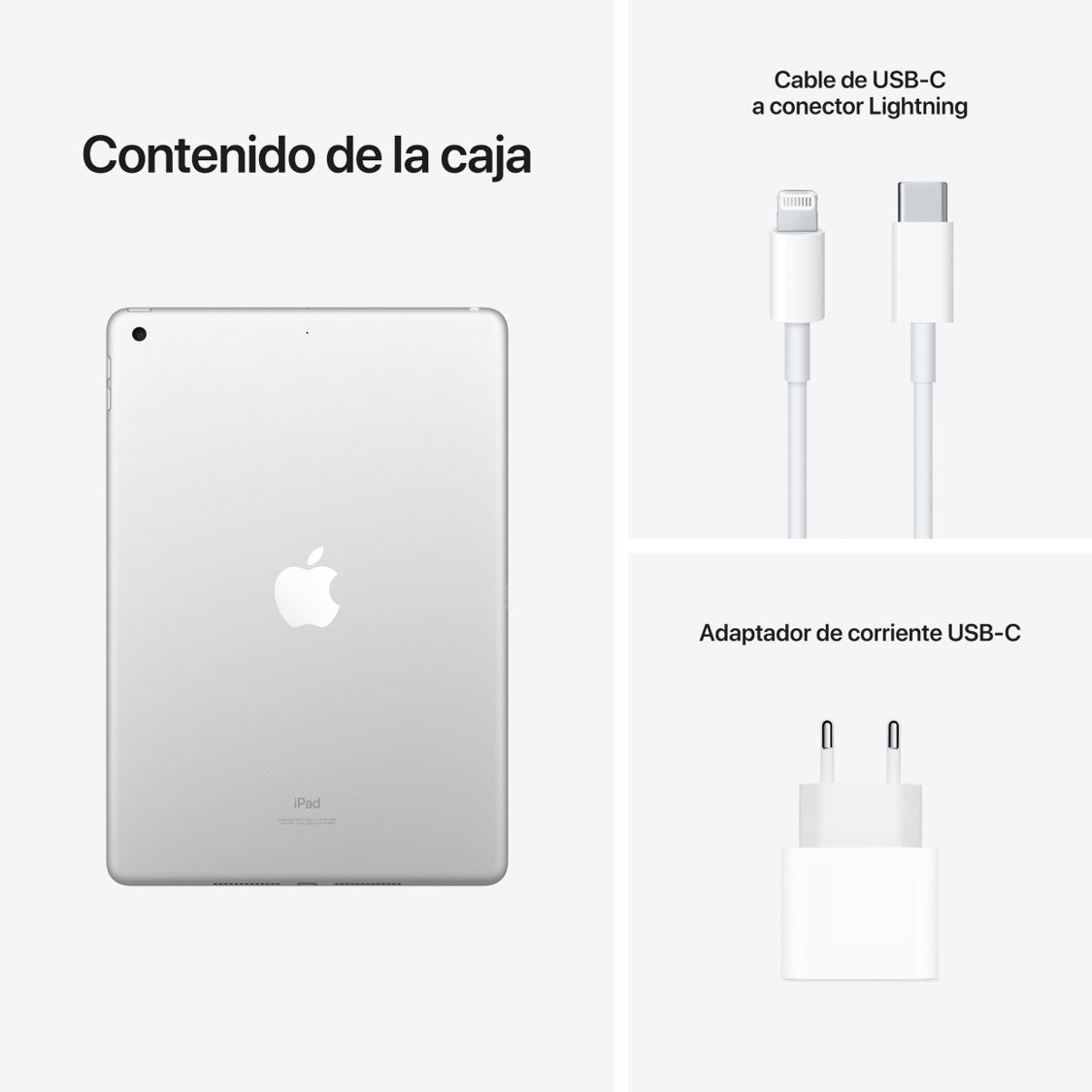 iPad de 10,2 pulgadas 256 GB Plata Wi-Fi