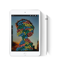 iPad mini Wi-Fi 64 GB Gris espacial Wi-Fi