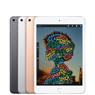 iPad mini Wi-Fi 64 GB Gris espacial Wi-Fi