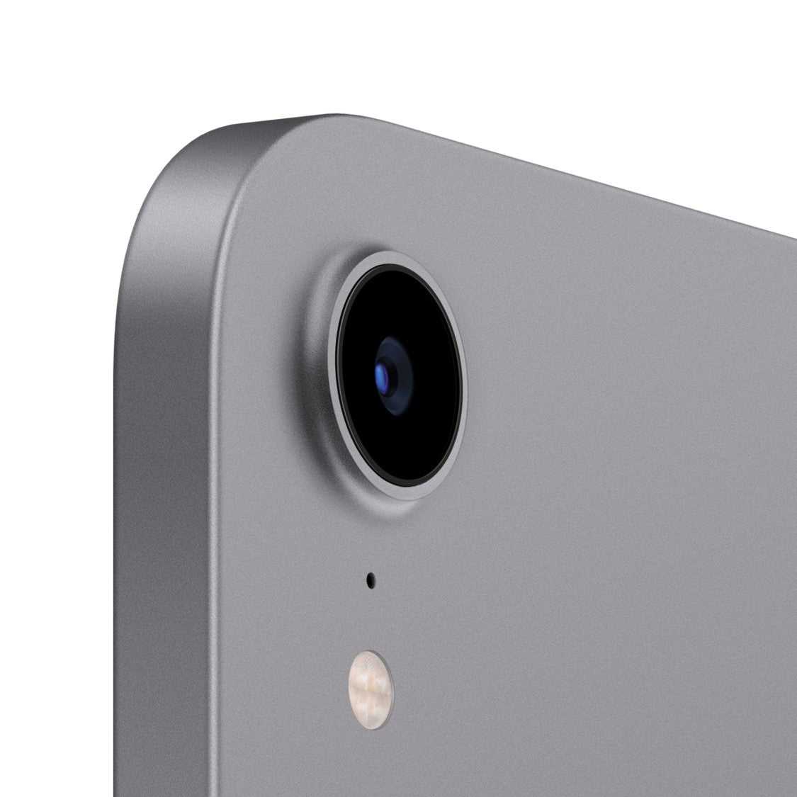 iPad Mini 8,3