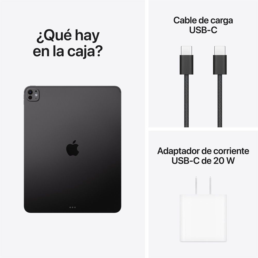 iPad Pro de 13 pulgadas Wi-Fi 256 GB Vidrio estándar - Negro espacial