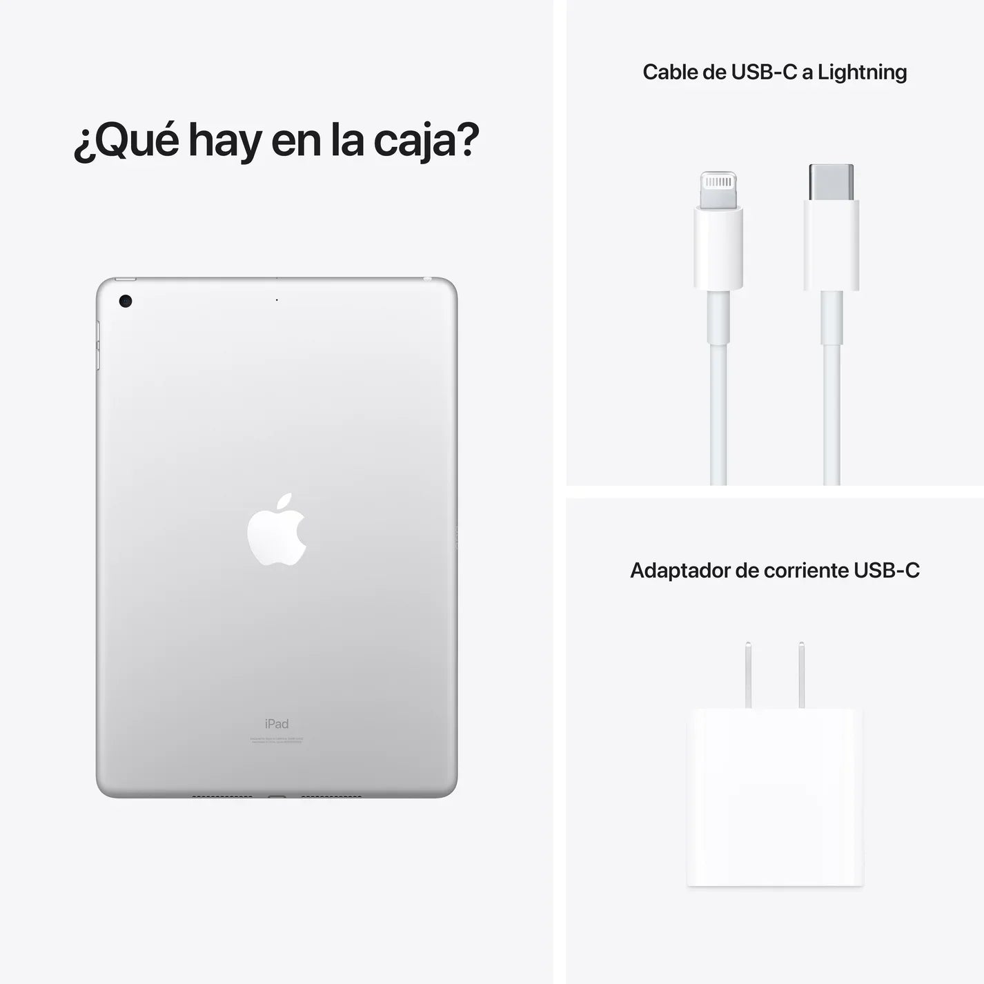 iPad de 10,2 pulgadas 256 GB Plata Wi-Fi