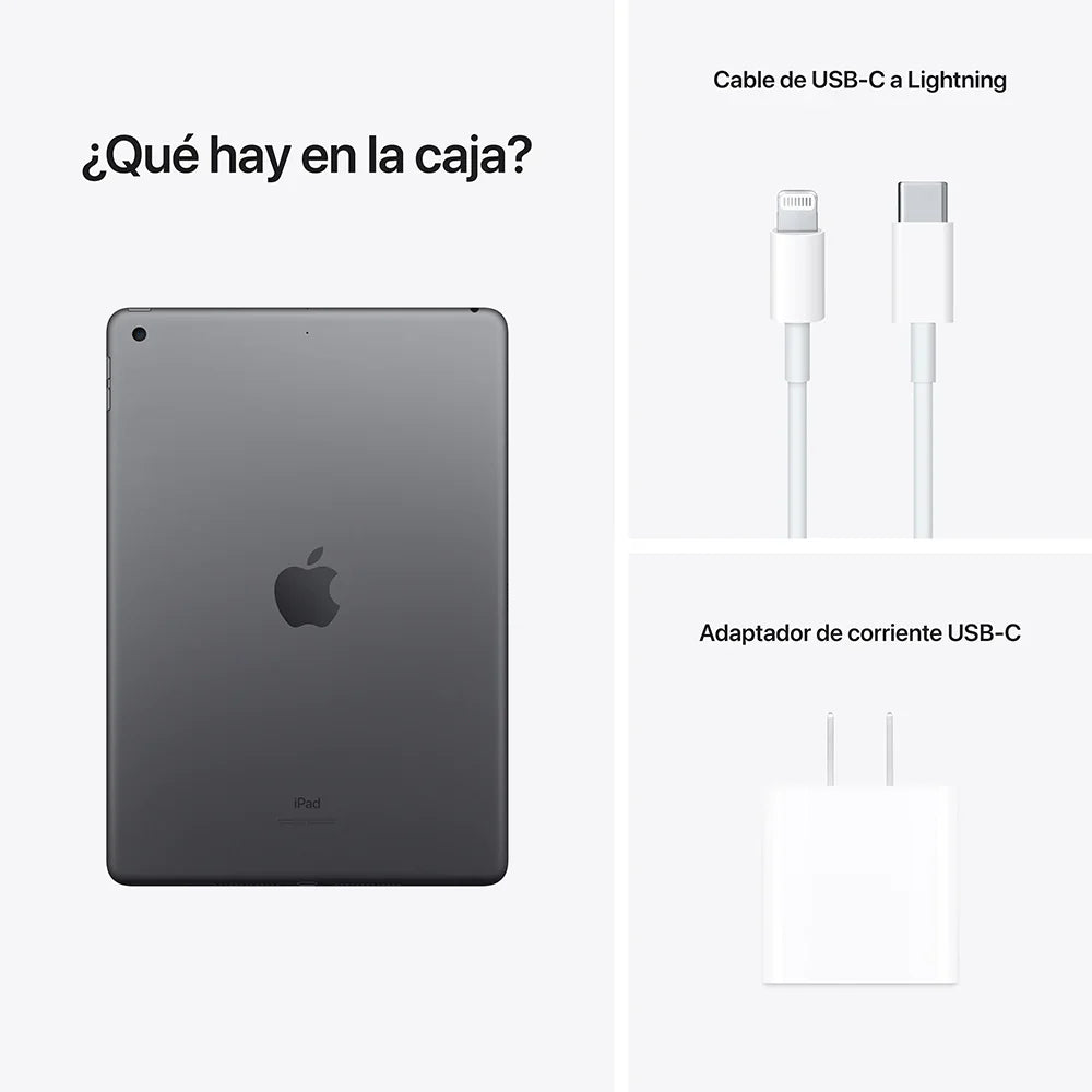 iPad de 10,2 pulgadas 256 GB Gris espacial Wi-Fi