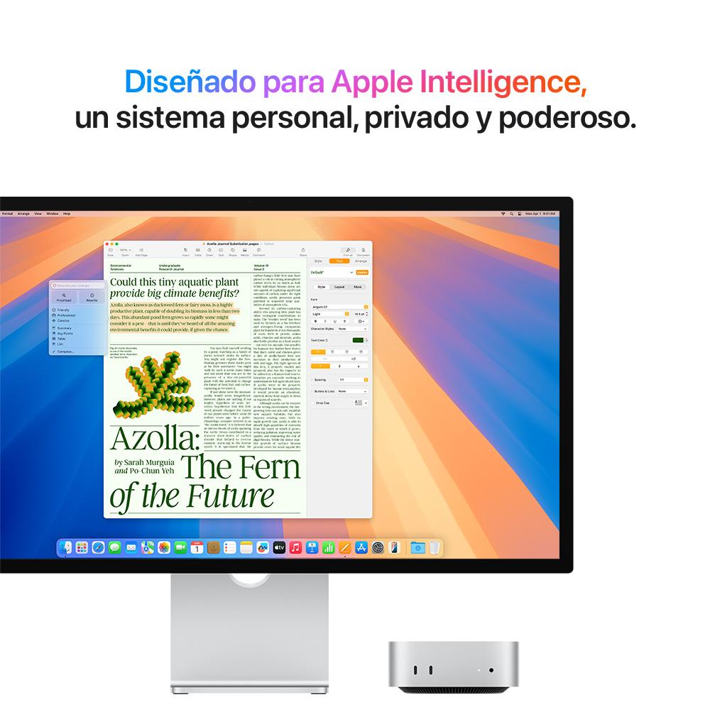 Mac mini: Chip M4 de Apple con CPU de 10 núcleos y GPU de 10 núcleos, 512 GB SSD - Plata