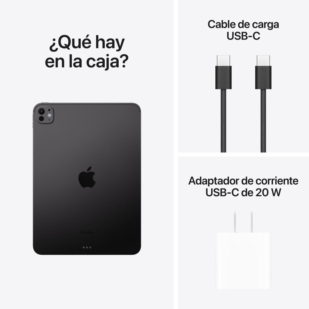 iPad Pro de 11 pulgadas Wi-Fi 256 GB Vidrio estándar - Negro espacial (M4)