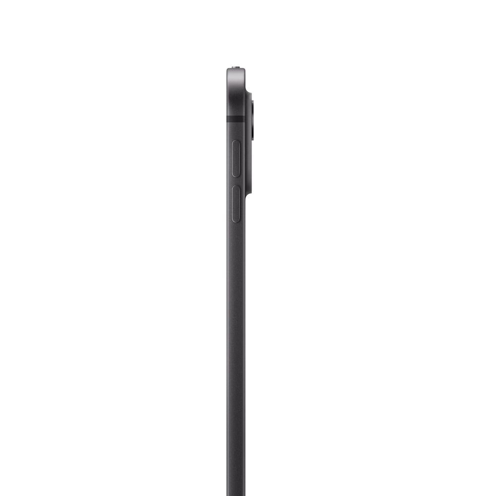 iPad Pro de 13 pulgadas Wi-Fi 2 TB Vidrio estándar - Negro espacial (M4)