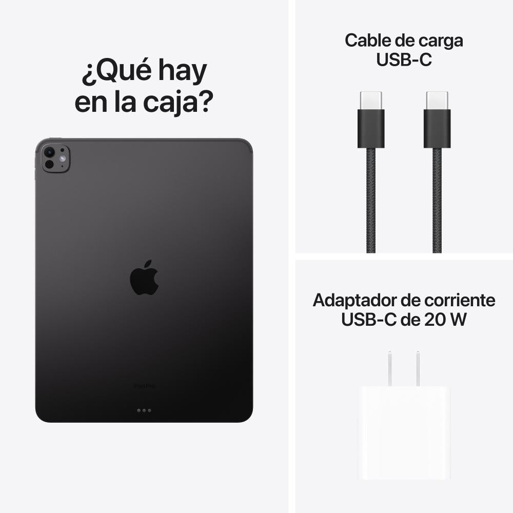 iPad Pro de 13 pulgadas Wi-Fi 256 GB Vidrio estándar - Negro espacial (M4)