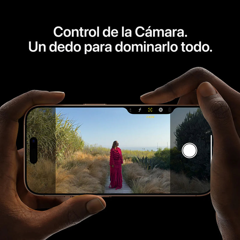 iPhone 16 Pro 256 GB Titanio natural iPhone 16 Pro 256 GB Titanio natural