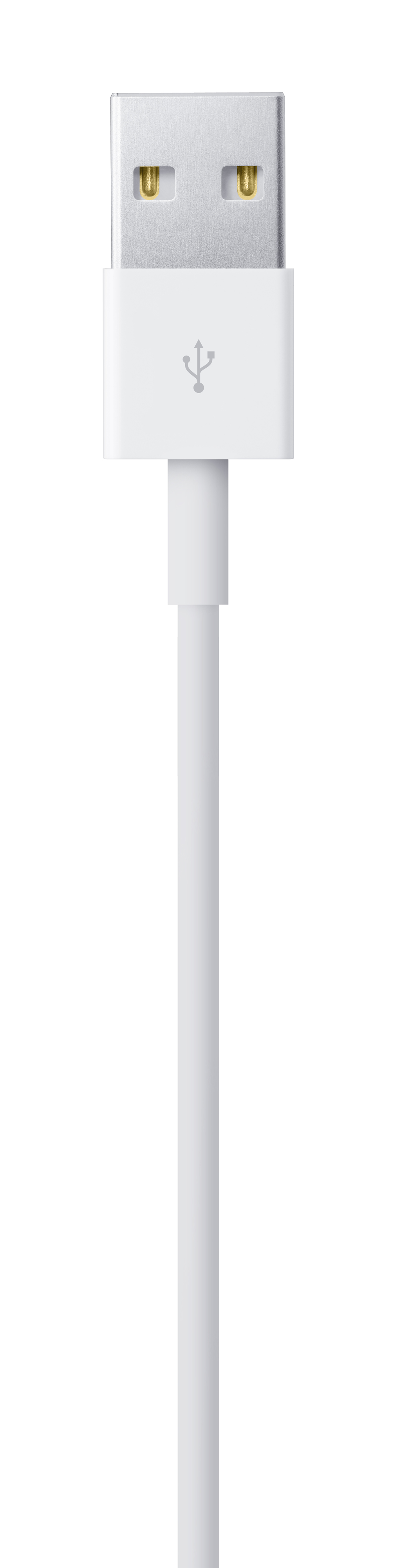 Cable Apple de conector Lightning a USB A de 1M - Blanco